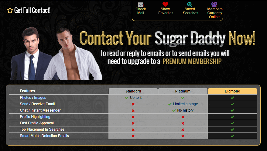 sugar daddy features